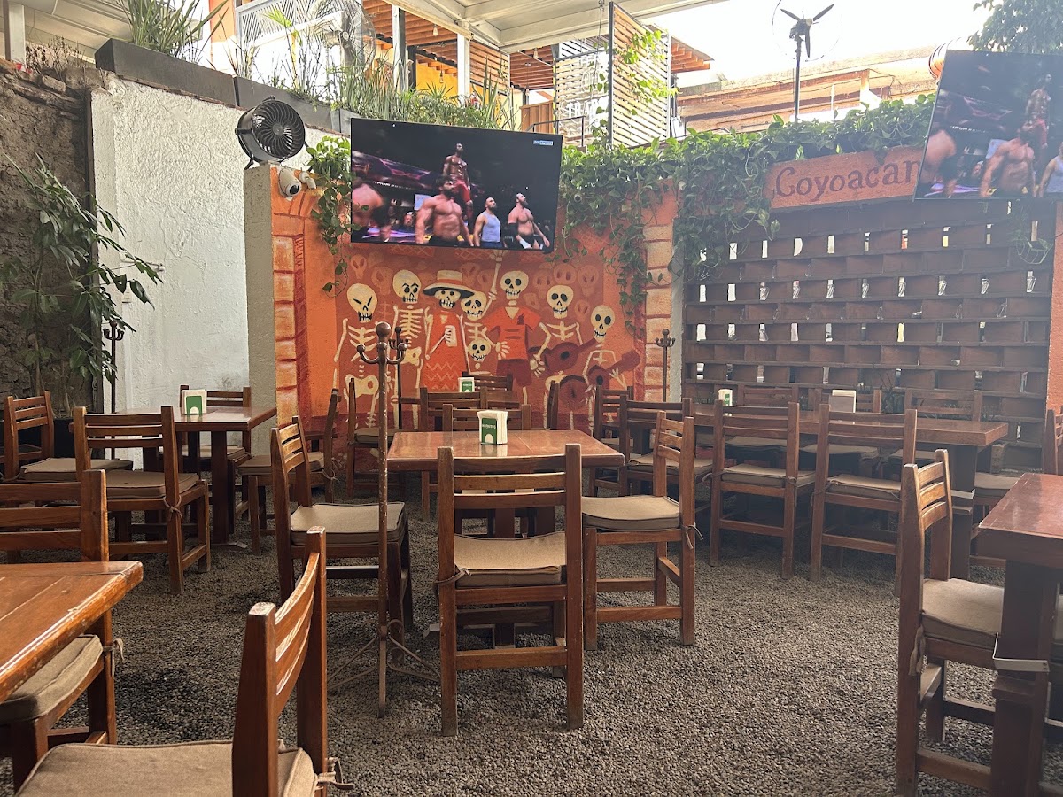 La CoyoacanaPhoto 3